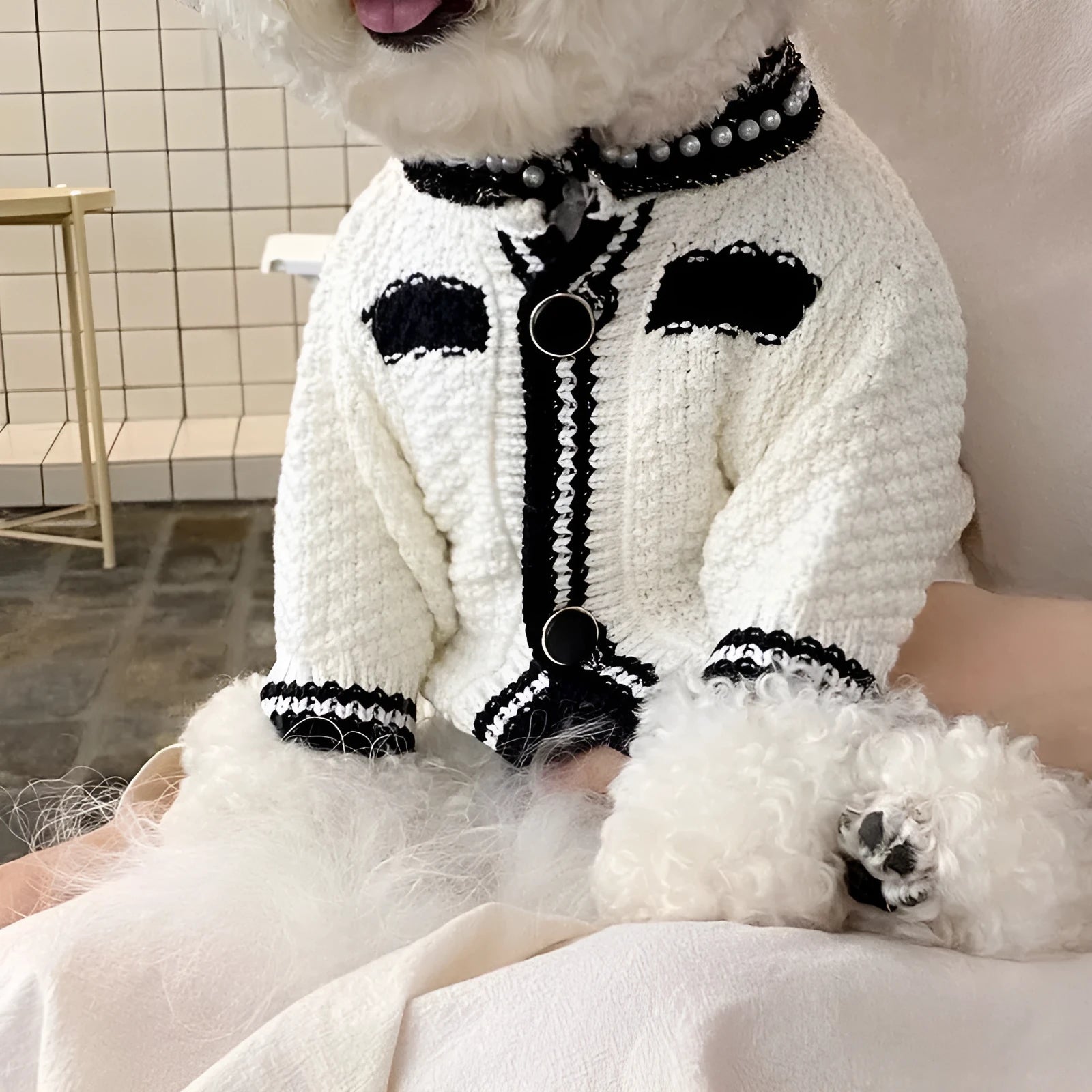White Korean style dog sweater with pearl collar on small dog, princess cut polyester pet clothing