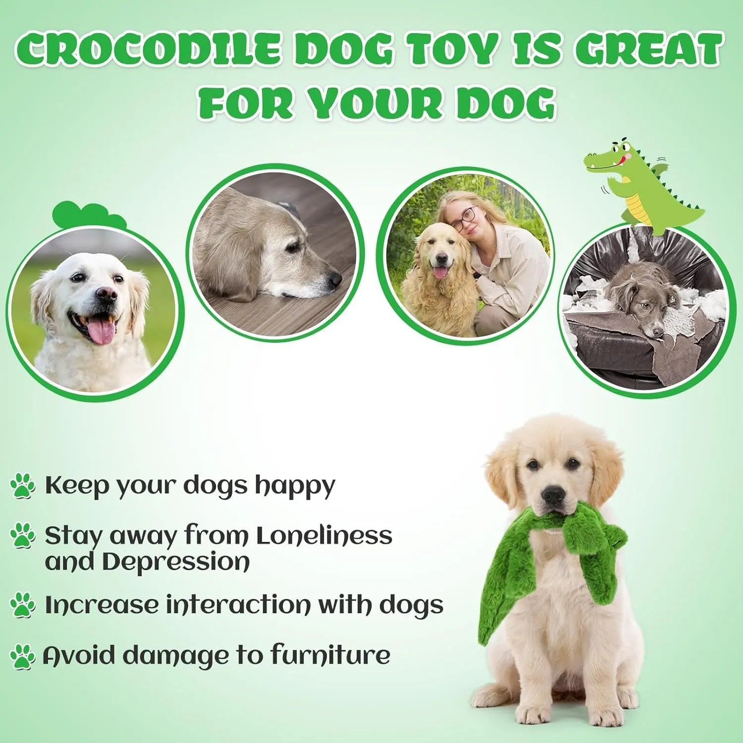 Dark green crocodile dog toy with squeaker and crinkle paper, measuring 20cm for aggressive chewers
