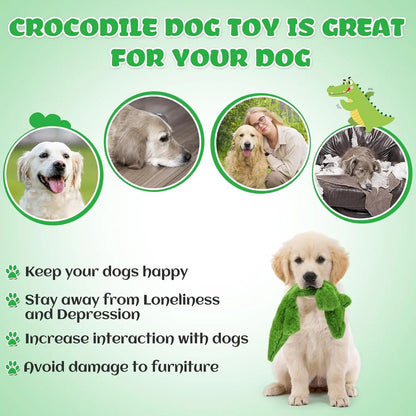 Dark green crocodile dog toy with squeaker and crinkle paper, measuring 20cm for aggressive chewers