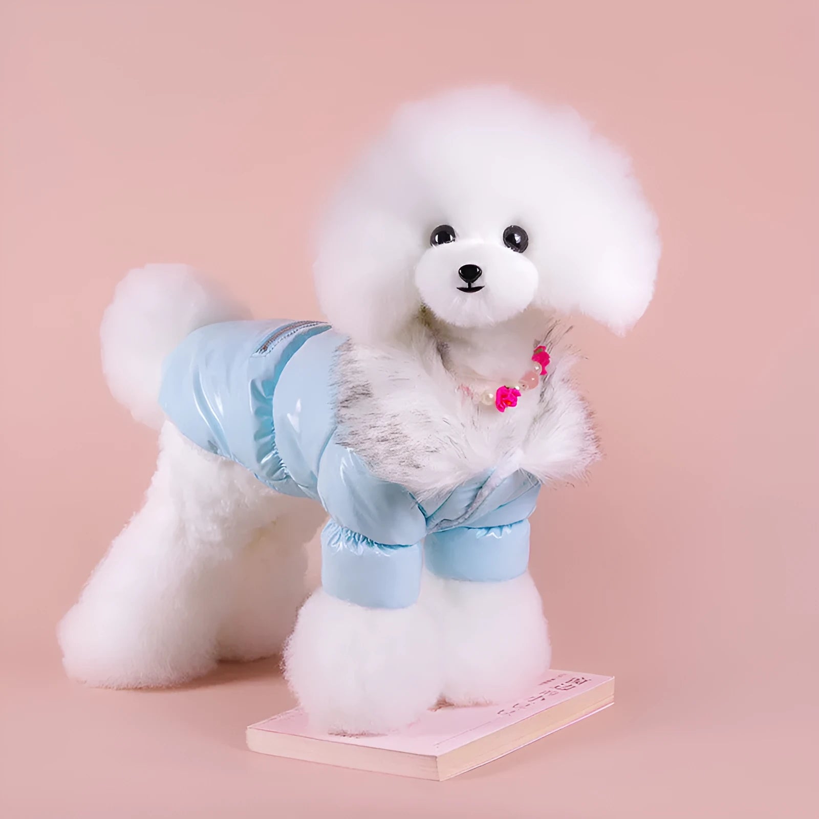 British style blue cotton dog jacket with winter padding shown on a model dog