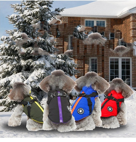 Comfy cotton-padded jacket with adjustable chest strap, available in black, blue, green, and red colours, suitable for pets