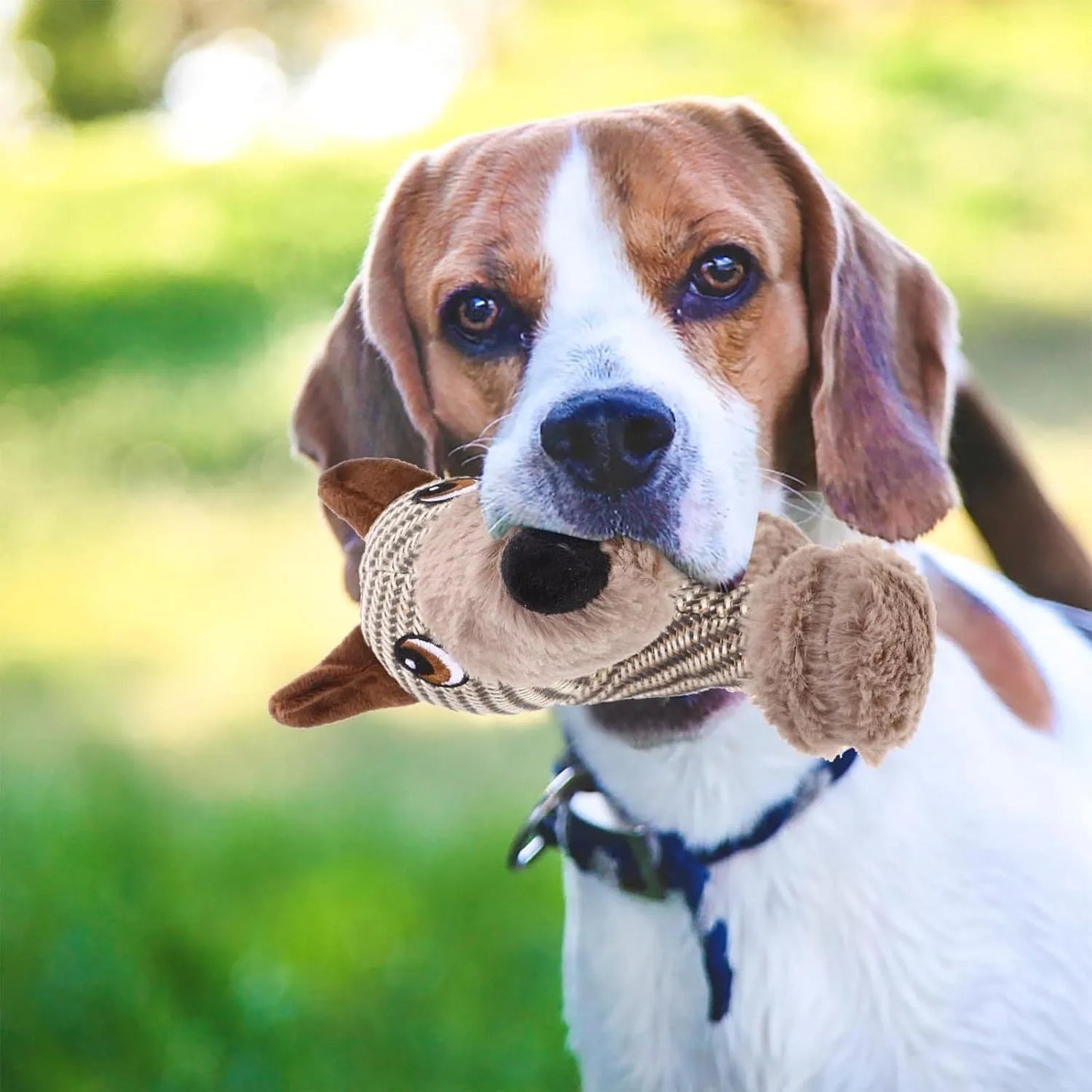 Plush squeaky dog toy in monkey or puppy design for medium large dogs