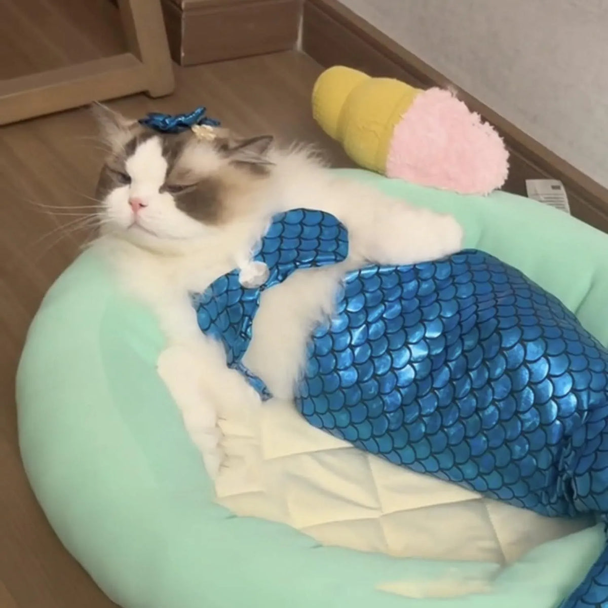 Blue pet mermaid costume with fish tail on a small cat, showing elastic chest strap and decorative bow.
