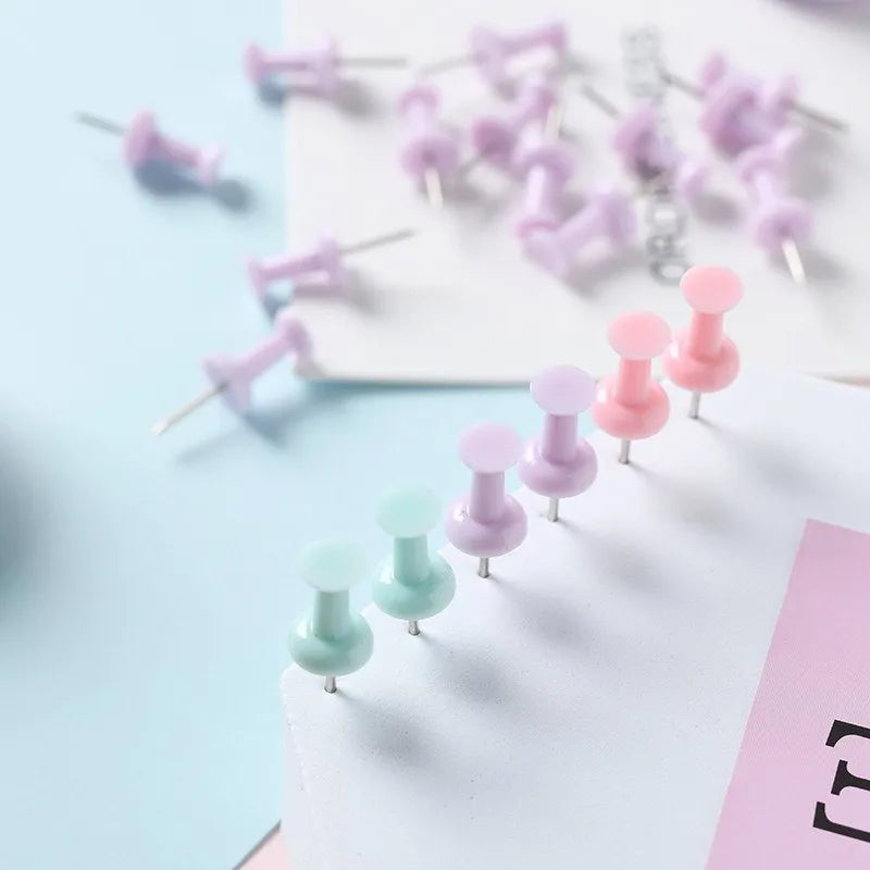 Plastic push pins in macaron colours - large and small sizes in boxed packaging