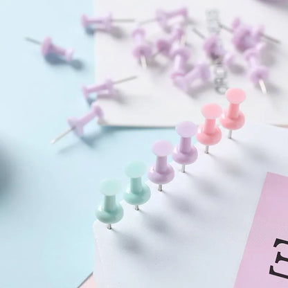 Plastic push pins in macaron colours - large and small sizes in boxed packaging