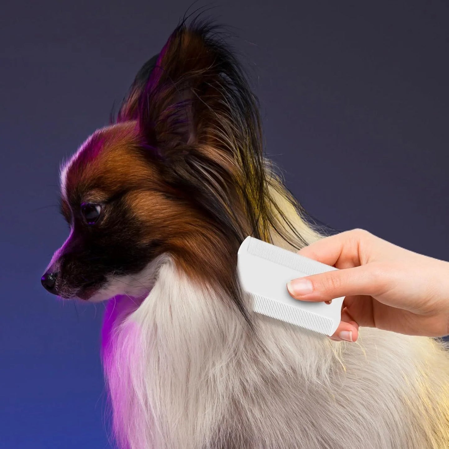 Double-sided plastic flea comb for pets showing dense teeth on one side and a fine-tooth grate on the other.