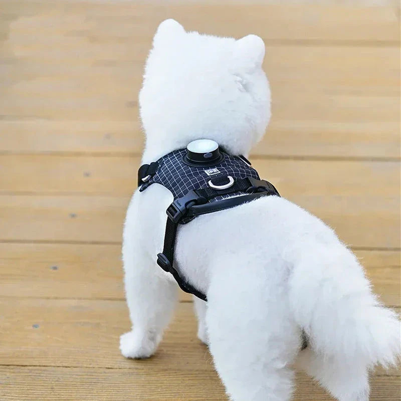 Adjustable LED pet safety harness with 19 vibrant colour modes for maximum visibility during outdoor activities