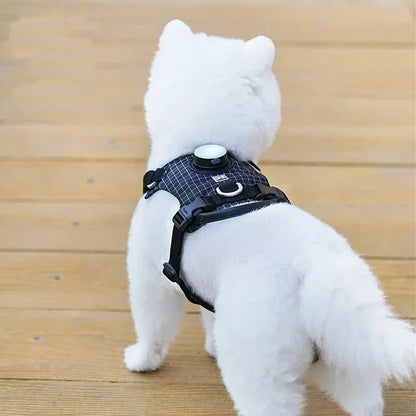Adjustable LED pet safety harness with 19 vibrant colour modes for maximum visibility during outdoor activities