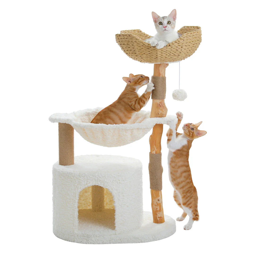 Elegant modern cat tree with woven basket, hammock, and solid wood scratching post for large indoor cats