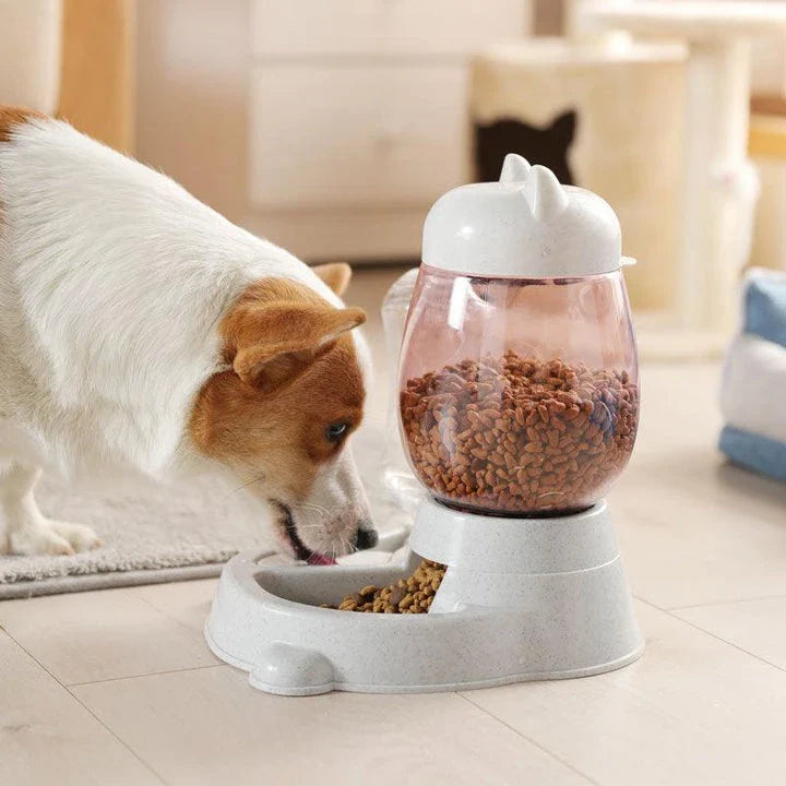 Automatic pet food and water dispenser with blue colour, designed for convenient feeding of cats and dogs