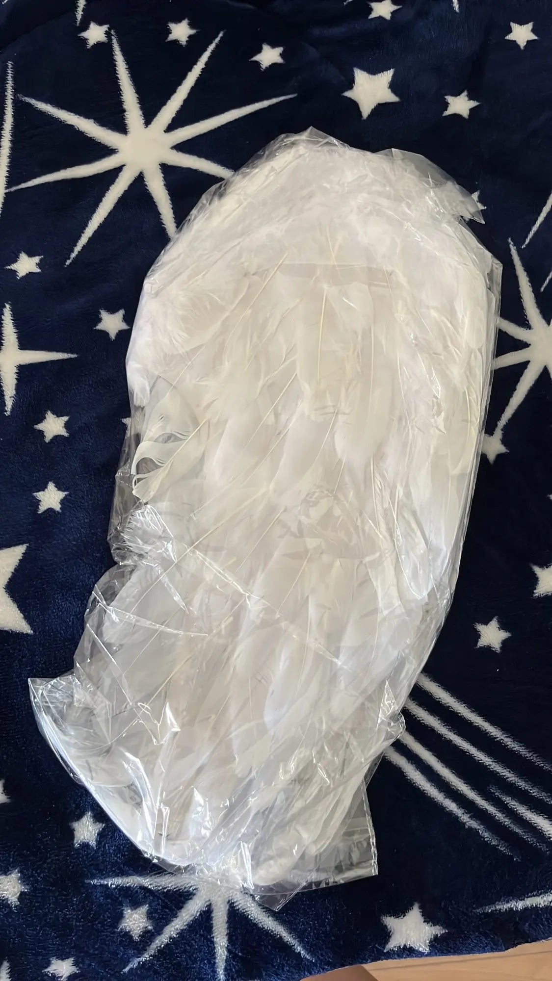 Captivating 3D Angel & Devil Wings in angelic white and devilish black colours, perfect for Halloween, masquerade, and costume parties