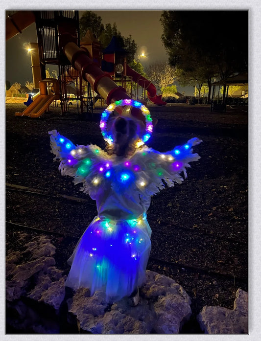Captivating 3D Angel & Devil Wings in angelic white and devilish black colours, perfect for Halloween, masquerade, and costume parties