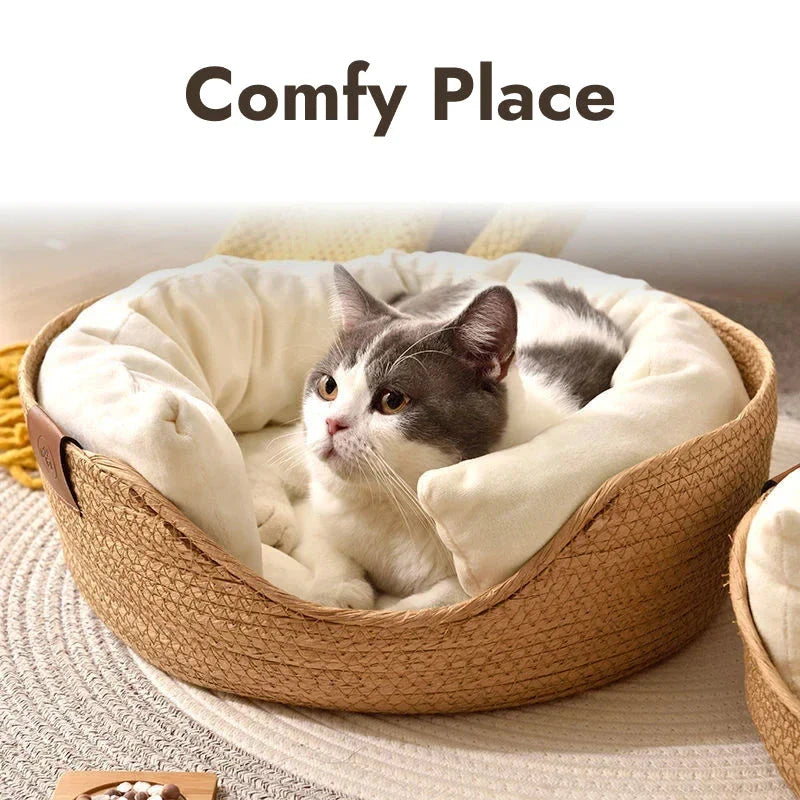 Handmade bamboo pet bed with removable cushion, designed for cosy relaxation of cats and small dogs