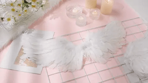 Captivating 3D Angel & Devil Wings in angelic white and devilish black colours, perfect for Halloween, masquerade, and costume parties