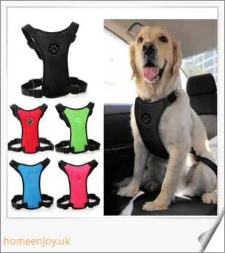 Durable dog safety harness and car seat belt set in 3 colours and 4 sizes for optimal comfort and fit