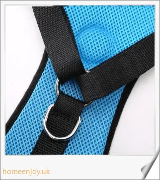 Durable dog safety harness and car seat belt set in 3 colours and 4 sizes for optimal comfort and fit