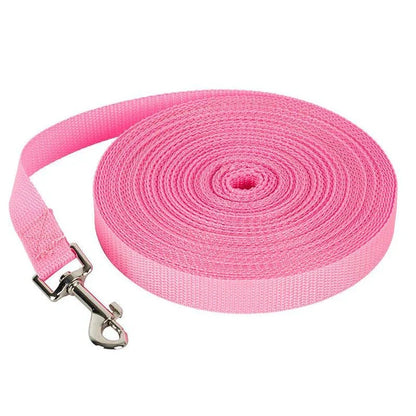 Premium nylon dog leashes in a range of sizes, perfect for casual walks and outdoor adventures with your furry friend in the UK