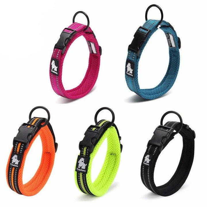 Adjustable nylon dog collar with reflective stripes, available in various vibrant colours for UK pet owners