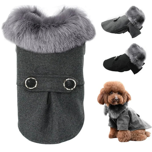 Cosy Woollen Dog Jacket for British Pups - Premium Wool Construction, Tailored Fit, and Sophisticated Style