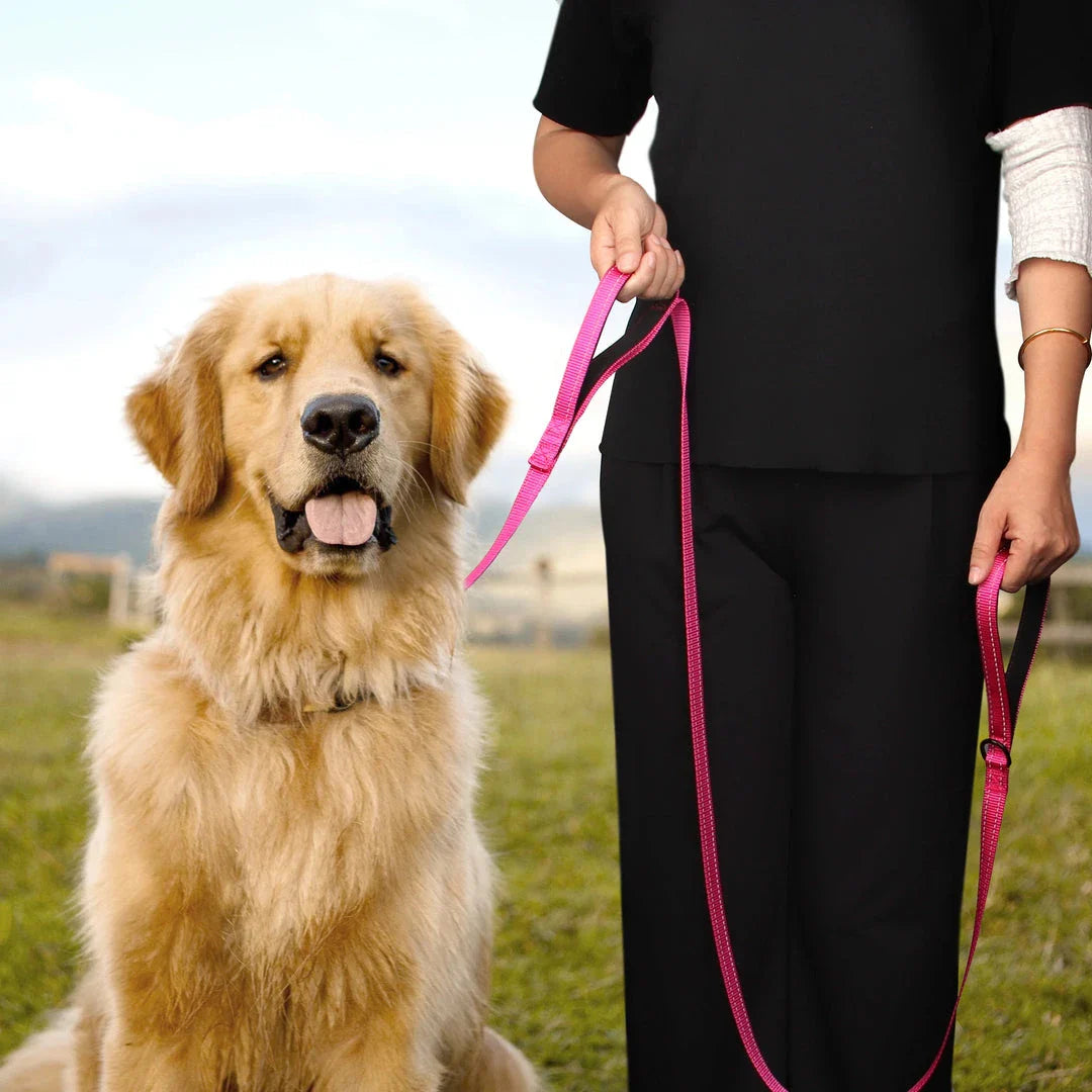 Durable 5ft reflective dog leash with padded dual handles for enhanced control and visibility during walks