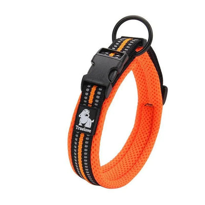 Adjustable nylon dog collar with reflective stripes, available in various vibrant colours for UK pet owners