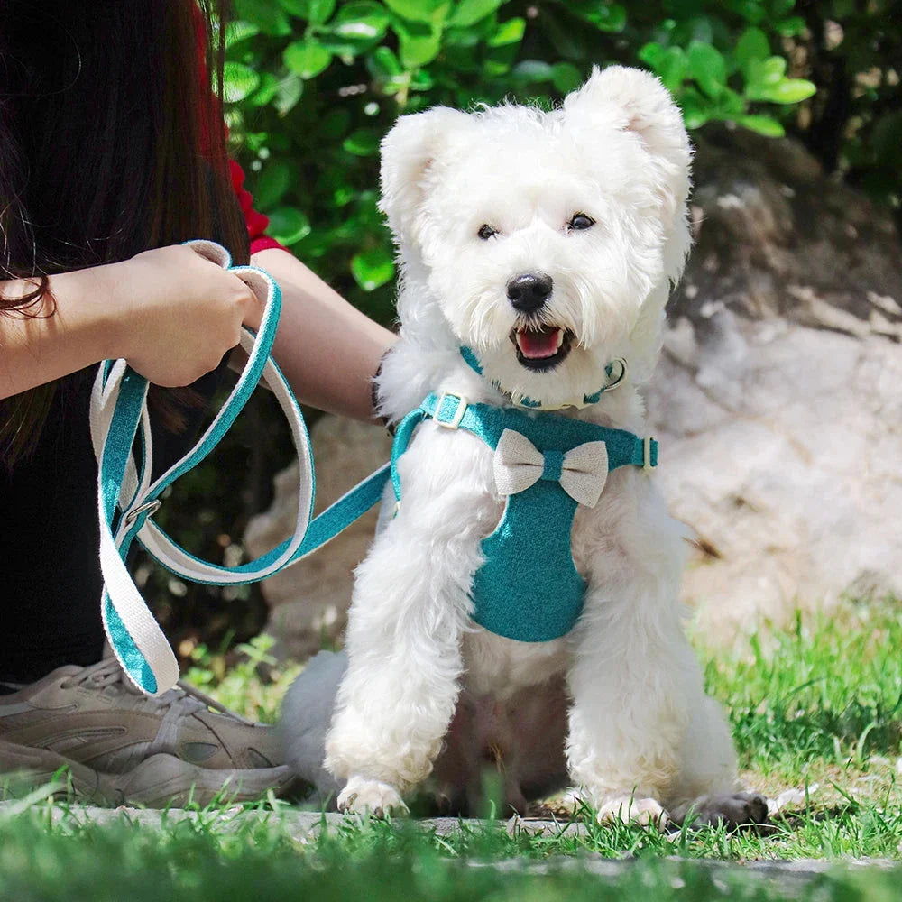 Charming quick-release dog collar, harness and lead set with adorable bow, available in various colours and sizes