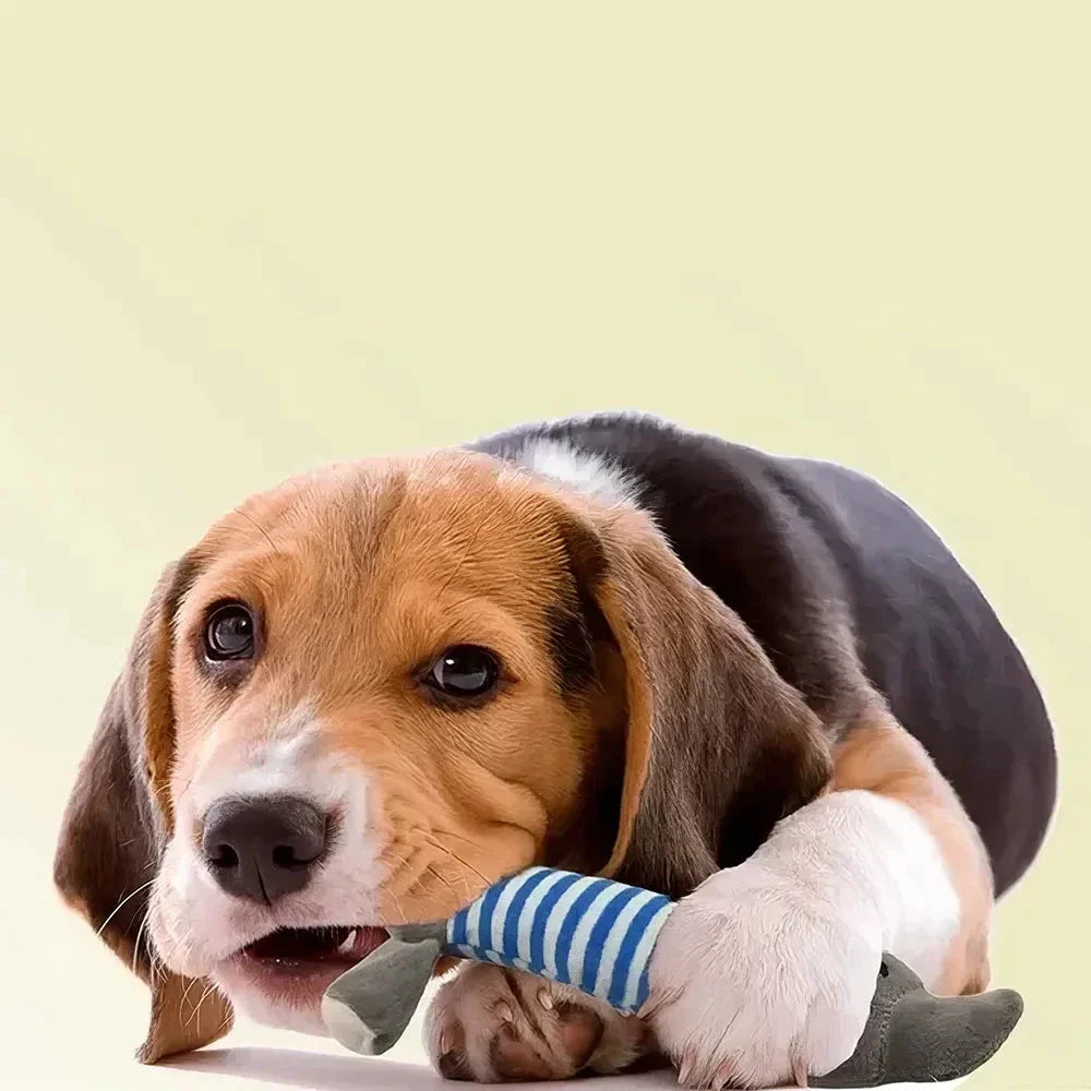 Adorable plush squeaky toys in various shapes and colours, including Pig, Duck, Elephant, and Chicken Legs, for playful pets