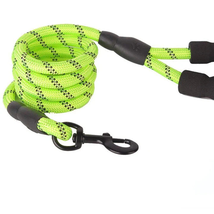 Durable and reflective nylon rope lead for dogs, available in multiple adjustable lengths for enhanced visibility and safety during walks.