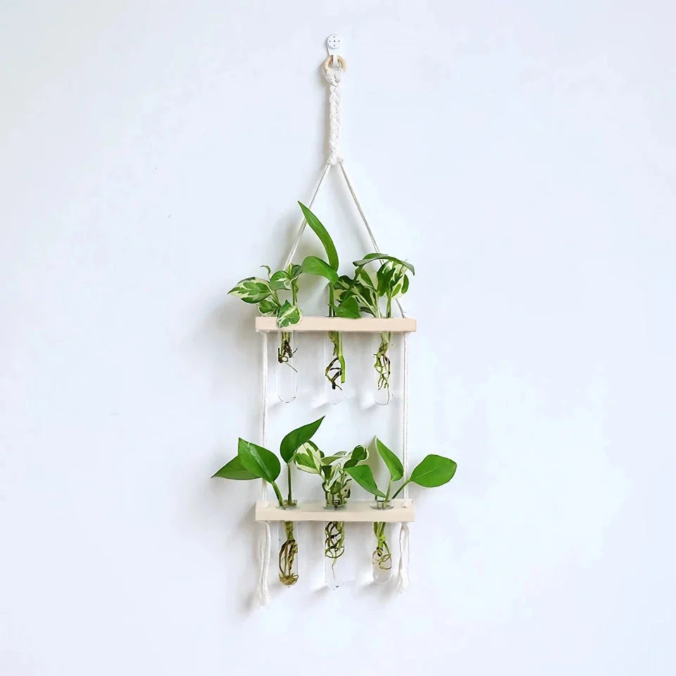 Elegant bamboo hydroponic wall vase with a sleek glass tube suspended in a wooden frame, displaying lush greenery