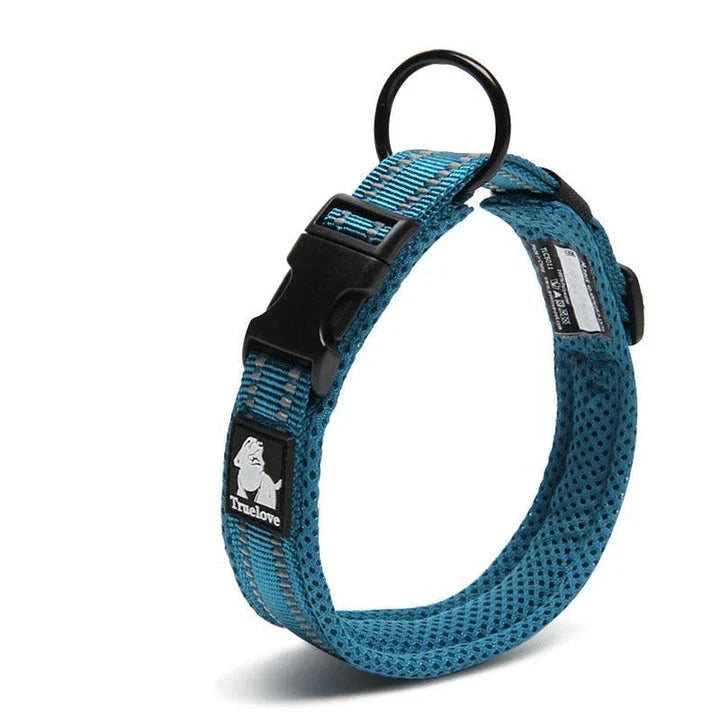 Adjustable nylon dog collar with reflective stripes, available in various vibrant colours for UK pet owners