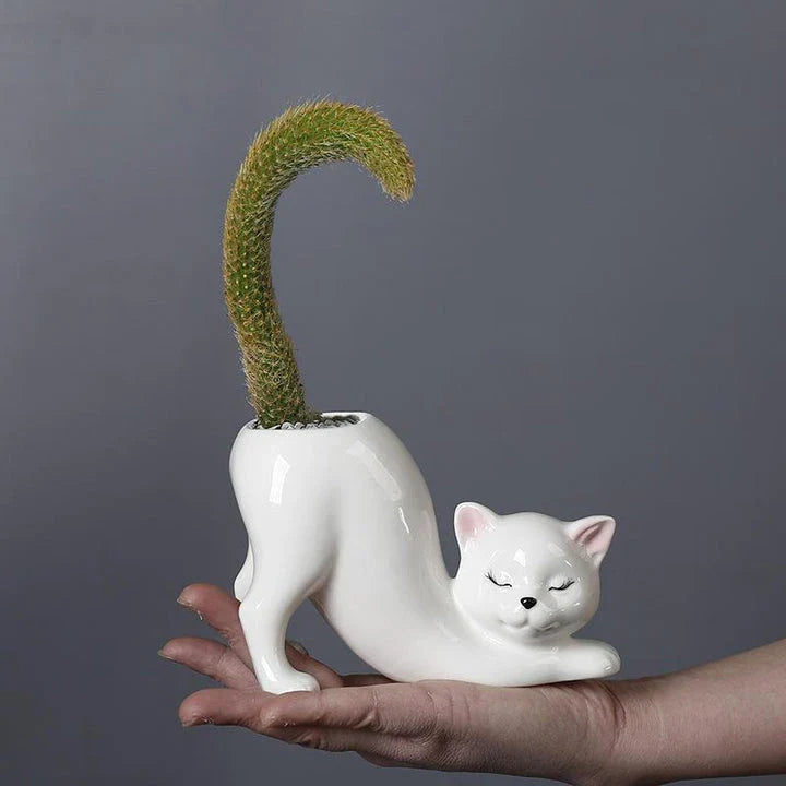 A charming cartoon cat-shaped flower pot made of high-quality glazed porcelain, perfect for adding a playful touch to your home or office decor.