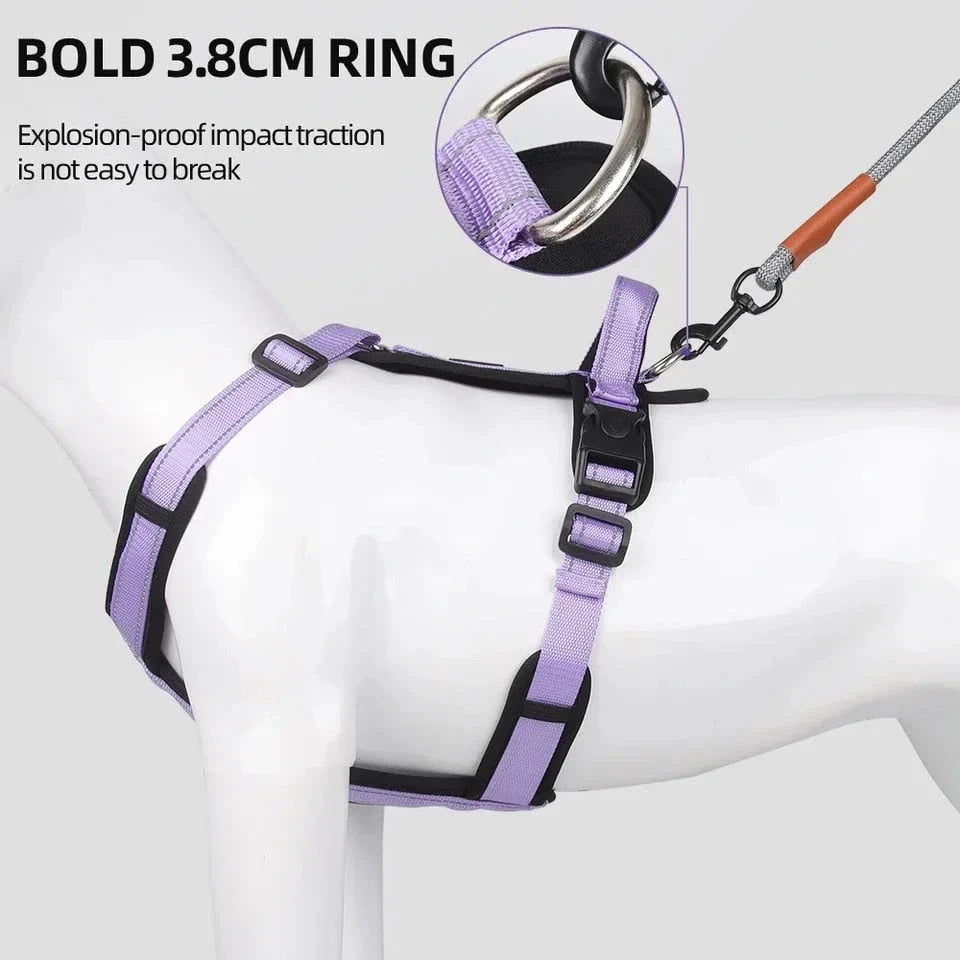 Adjustable reflective padded dog harness in multiple colours for enhanced visibility and safety during walks and outdoor activities