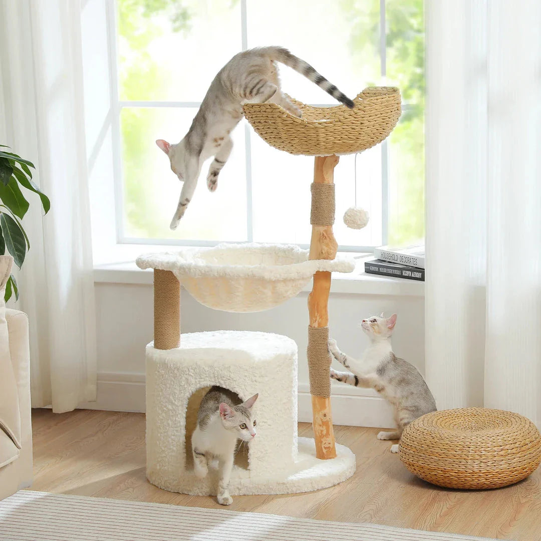 Elegant modern cat tree with woven basket, hammock, and solid wood scratching post for large indoor cats