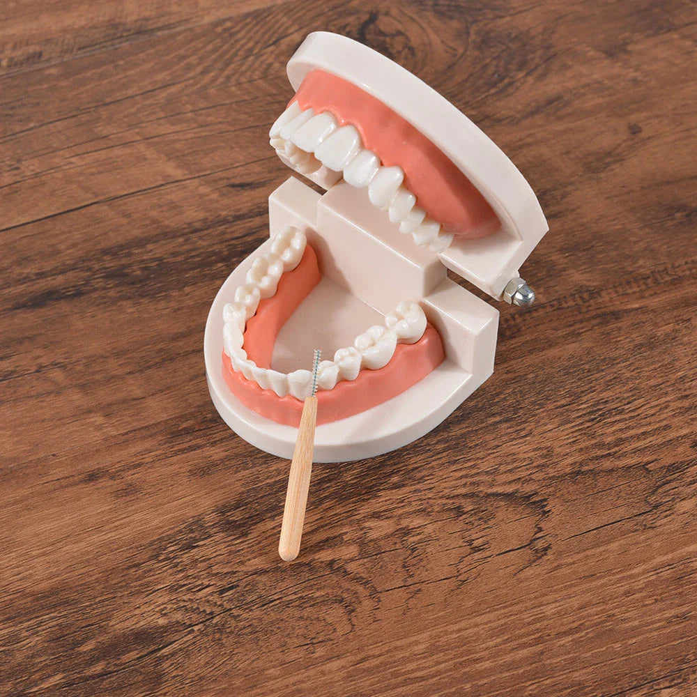 Bamboo Interdental Brushes for Thorough Cleaning Between Teeth and Around Braces