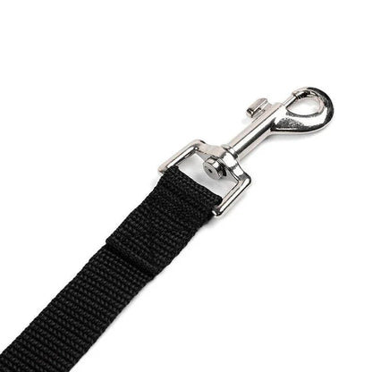 Premium nylon dog leashes in a range of sizes, perfect for casual walks and outdoor adventures with your furry friend in the UK