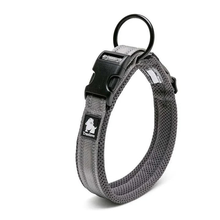 Adjustable nylon dog collar with reflective stripes, available in various vibrant colours for UK pet owners