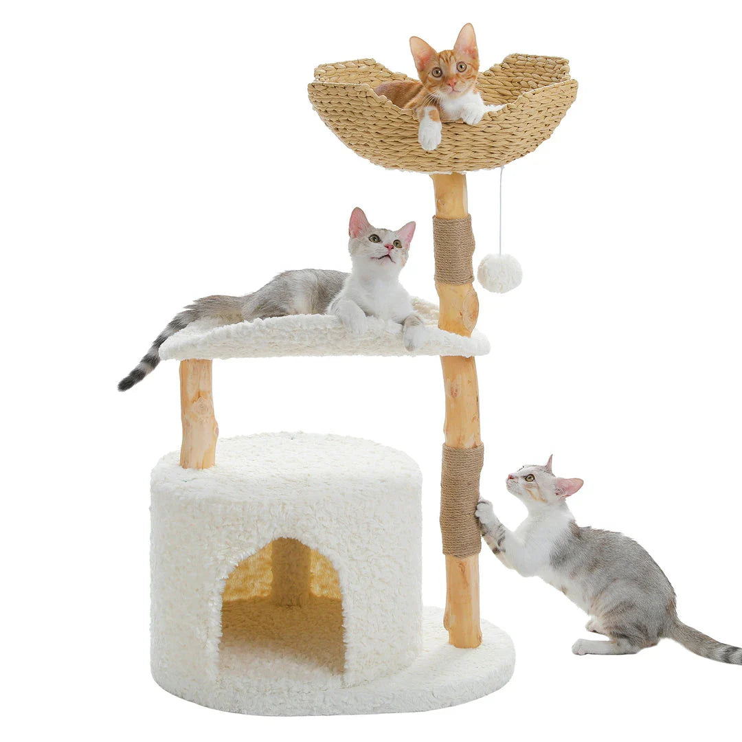 Elegant modern cat tree with woven basket, hammock, and solid wood scratching post for large indoor cats
