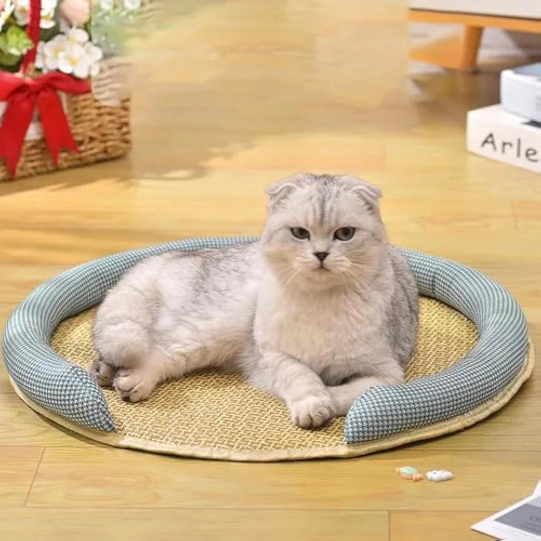 Cooling Rattan Pet Bed with Breathable Cushion for Cats - Stylish and Comfortable Design