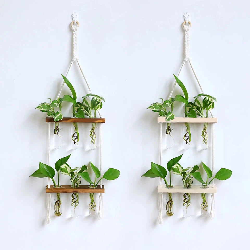 Elegant bamboo hydroponic wall vase with a sleek glass tube suspended in a wooden frame, displaying lush greenery