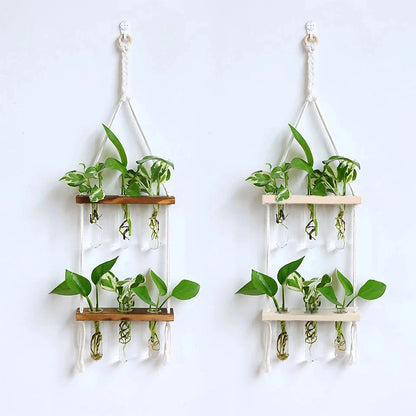 Elegant bamboo hydroponic wall vase with a sleek glass tube suspended in a wooden frame, displaying lush greenery