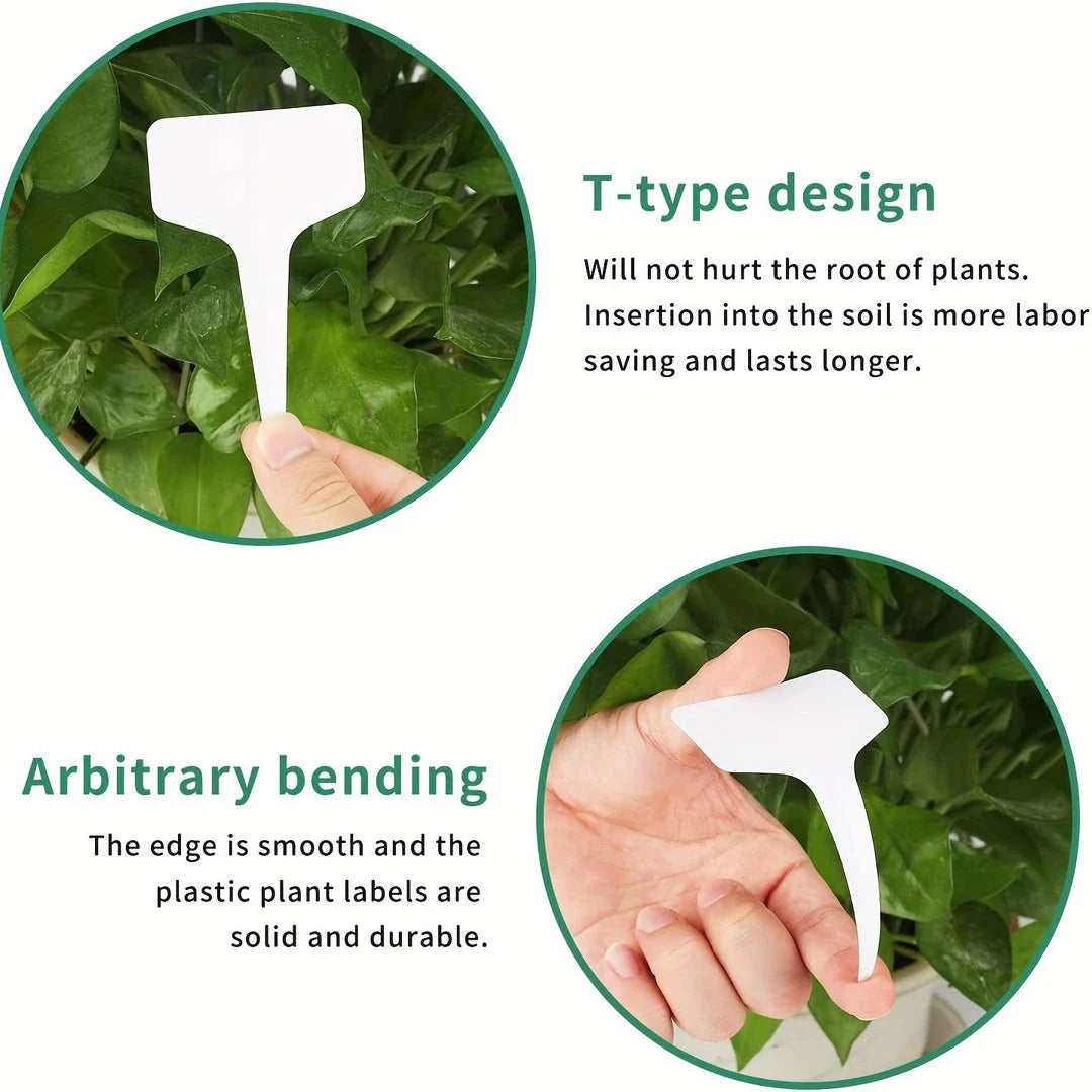 Biodegradable paper nursery pots and plant labels set for sustainable gardening