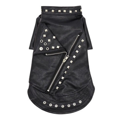 A black leather jacket designed for cats, featuring a sleek and stylish look to elevate your feline's fashion sense.