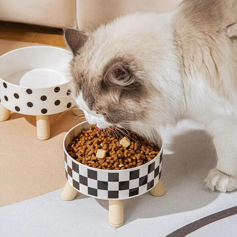Elevated cat feeder bowl with anti-choking design, made of durable PP plastic and stainless steel for a comfortable and mess-free mealtime