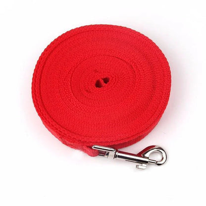 Premium nylon dog leashes in a range of sizes, perfect for casual walks and outdoor adventures with your furry friend in the UK