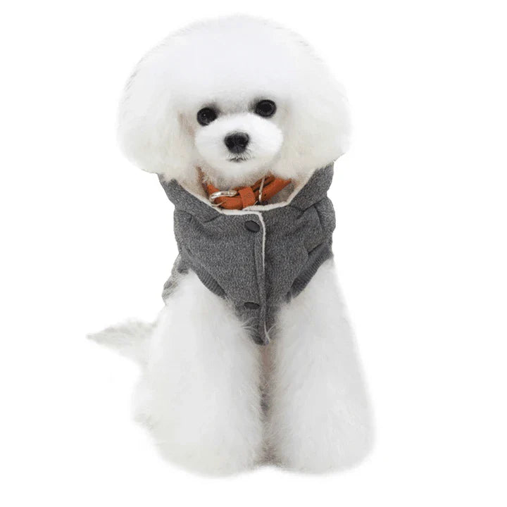 Cozy and stylish hooded winter jacket for dogs, made of soft cotton material to keep your pet warm and comfortable.