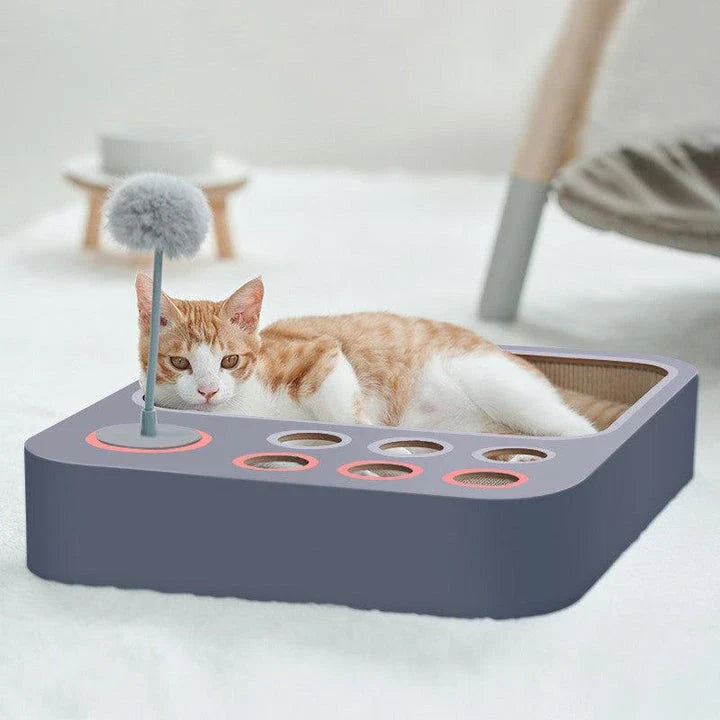 Premium Formaldehyde-free Cat Scratching Board Nest Toy in Dark Grey Colour