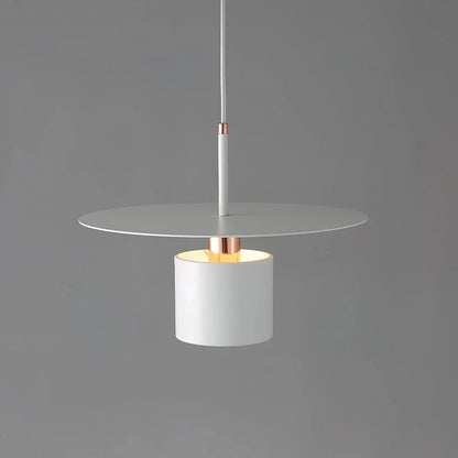 A modern and elegant minimalist pendant light made of durable metal with a smooth painted finish, providing focused and cosy illumination for a variety of interior spaces.