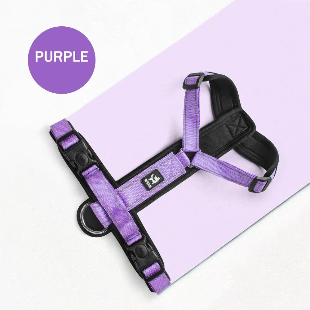Adjustable No-Pull Dog Harness with Reflective Strips for Enhanced Visibility and Safety