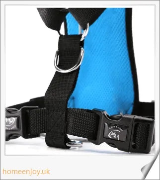 Durable dog safety harness and car seat belt set in 3 colours and 4 sizes for optimal comfort and fit