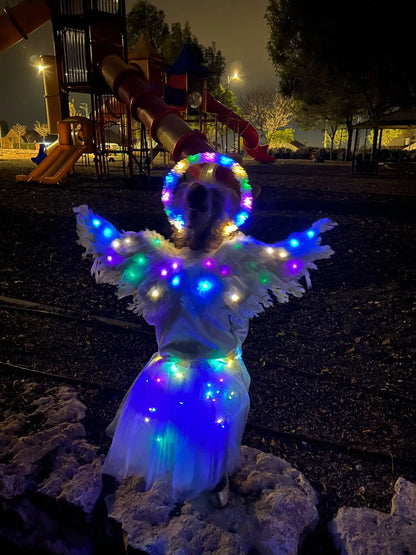 Captivating 3D Angel & Devil Wings in angelic white and devilish black colours, perfect for Halloween, masquerade, and costume parties